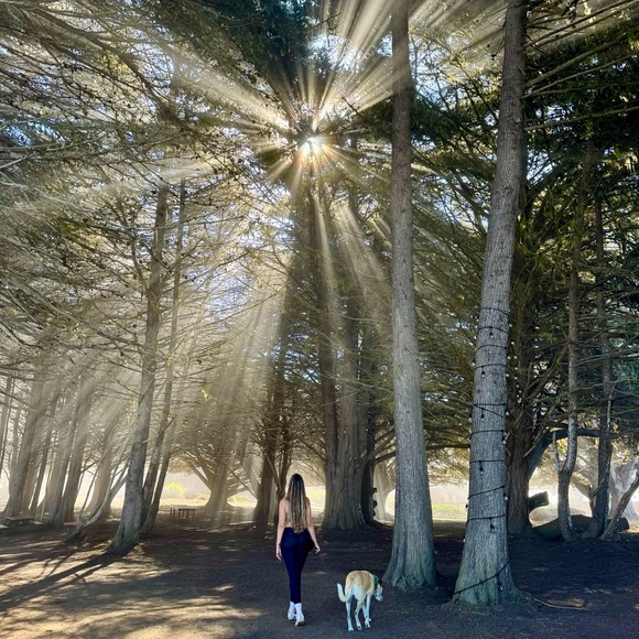 Meet your Posher, Bailey - Picture 8 of 8